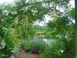 nettlestead_court_farm